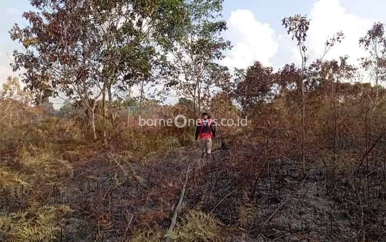 Dishut Kalteng Kerahkan Tim Perkuat Penanganan Karhutla di Katingan