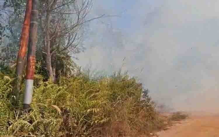 Kebakaran Lahan Marak di Kotawaringin Timur, Tim Gabungan Terpaksa Hentikan Pemadaman Malam Hari