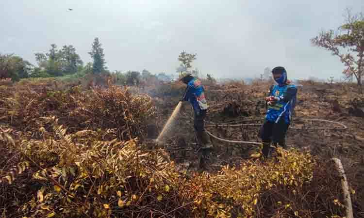 Tim Dalkarhutla Dishut Kalteng saat melakukan pendinginan lahan di wilayah Tumbang Nusa Kabupaten Pulang Pisau (Foto : IST)