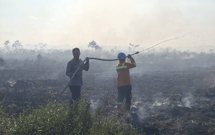 Sehari Dua Kali Karhutla, BPBD Lamandau Ingatkan Risiko Kebakaran Meningkat Saat Kemarau