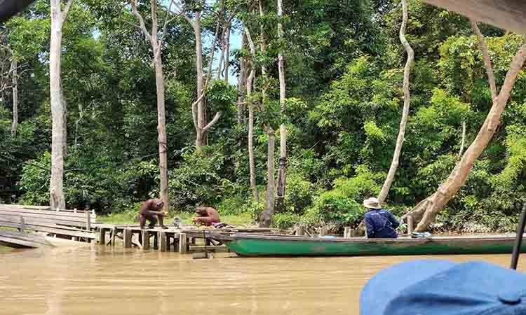 SSMS Libatkan 1.280 Petani Swadaya dalam Skema Sertifikasi RSPO