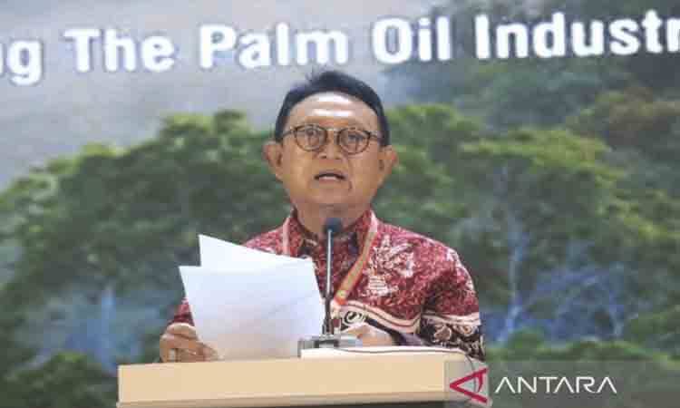 GAPKI: Legalitas Lahan jadi Kunci Peremajaan Sawit Rakyat