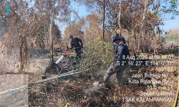Lahan Gambut Jadi Tantangan Penanganan Karhutla Kalteng