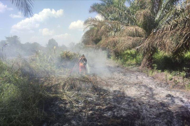 Karhutla di Sungai Tendang Kobar Meluas hingga Sekitar 10 Hektare