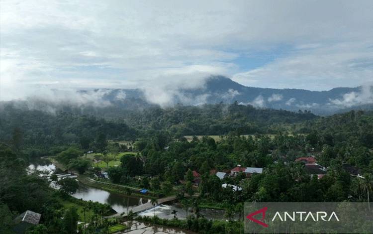 Kemenhut Perkuat Transformasi Perdagangan Karbon yang Inklusif