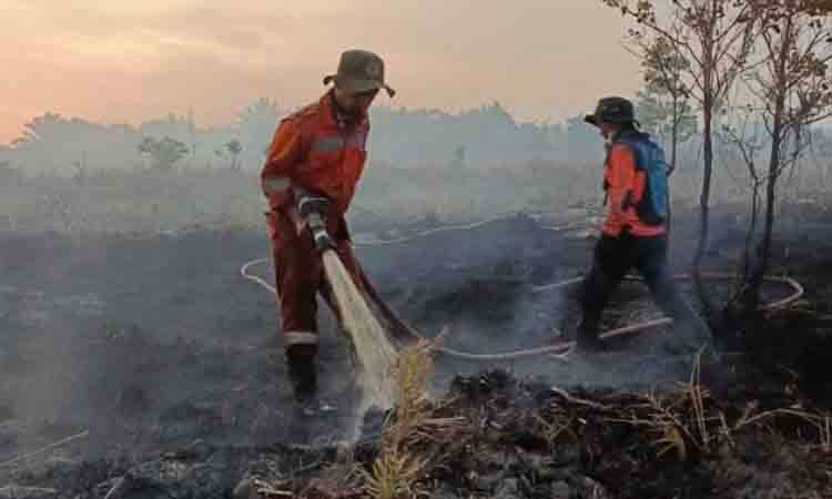 Anggota BPBD Kobar saat melakukan pemadaman karhutla