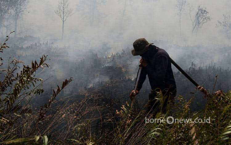 114 Hotspot Terdeteksi di Kabupaten Kapuas