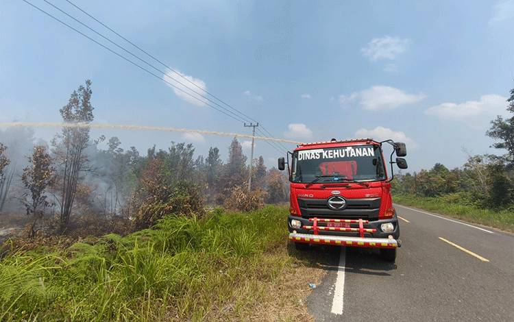 Tim Dalkarhutla Dishut Kalteng saat melakukan upaya pemadaman Karhutla di Desa Bukit Liti Kecamatan Kahayan Tengah Kabupaten Pulang Pisau. (Foto : IST)