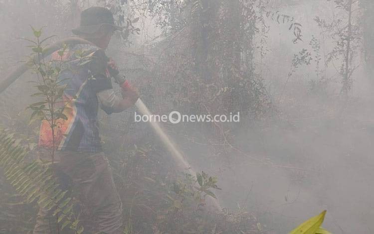 Gambut Dalam dan Air Terbatas Tak Halangi Pemadaman Karhutla di Tumbang Nusa