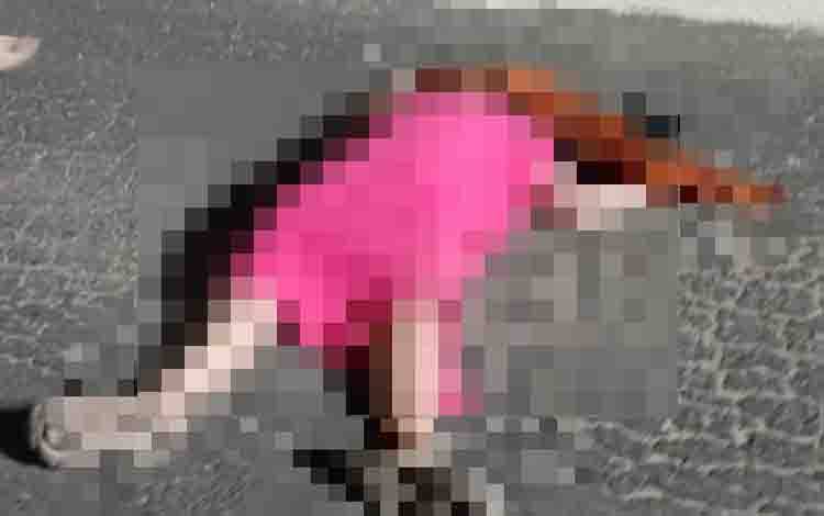 Pemotor Wanita Tak Sadarkan Diri Usai Laka Tunggal di Jalan Kasturi Kuala Kapuas