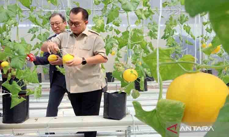 Kepala BRIN Kemukakan Berbagai Hasil Riset untuk Perkuat Proyek GSW