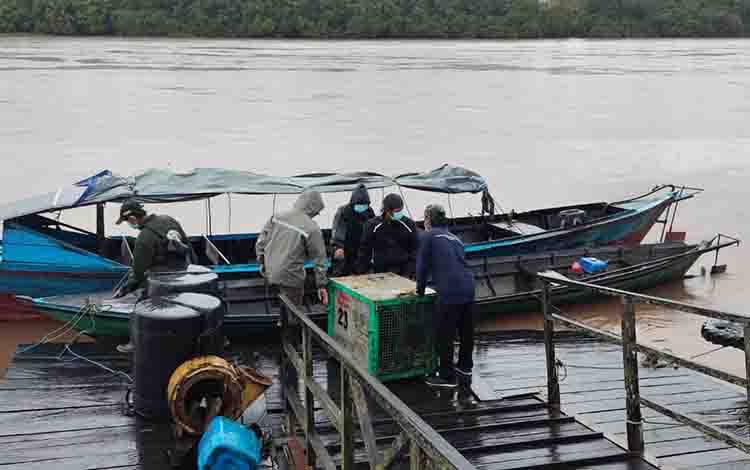 1.280 Petani Swadaya Masuk Ekosistem Sawit Berkelanjutan SSMS