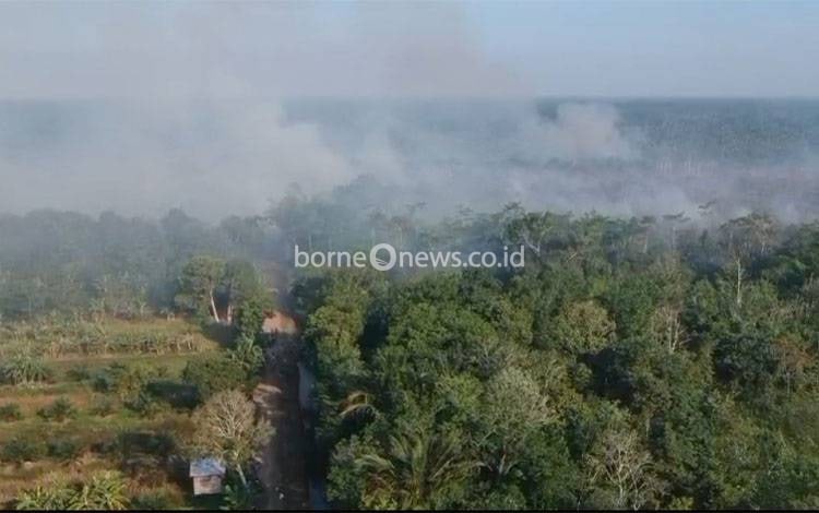 Situasi karhutla di Desa Batuah, Basarang, Senin, 17 Agustus 2026. (FOTO: TRC Kapuas)