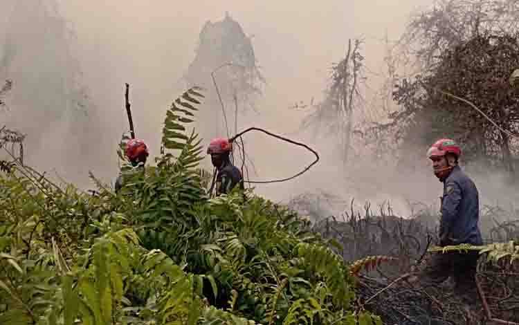 Petugas berupaya padamkan kebakaran lahan di dekat rumah warga Jalan Ir Soekarno, Senin, 17 Agustus 2026. (FOTO: Humas Damkar)