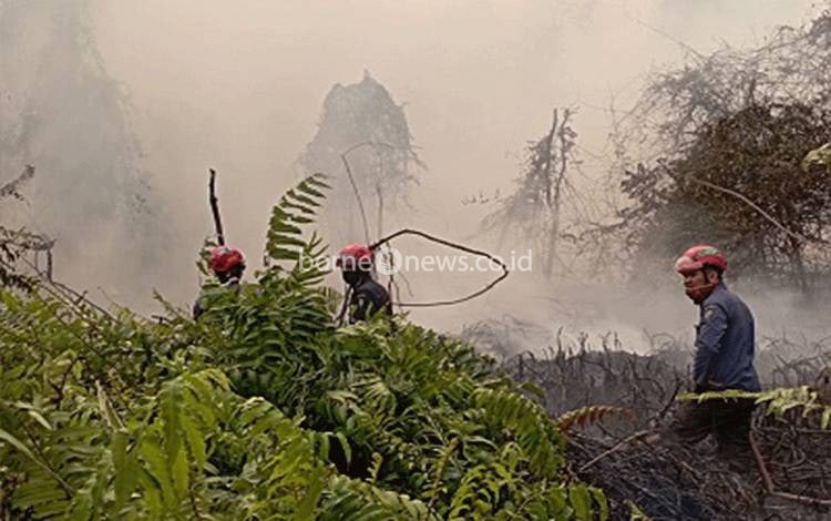 17 Titik Karhan Terjadi di Kotim dalam Sehari, BPBD Memohon Maaf Belum Dapat Tangani Semua