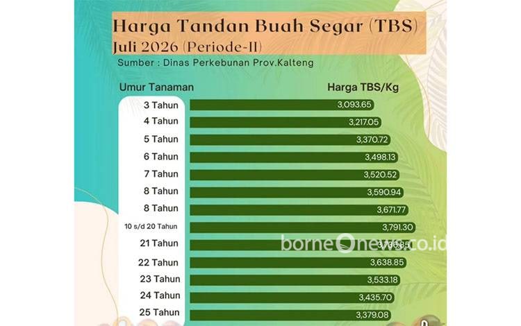 Harga TBS Sawit Kalteng Periode II Juli 2026 Capai Rp3.791 per Kilogram