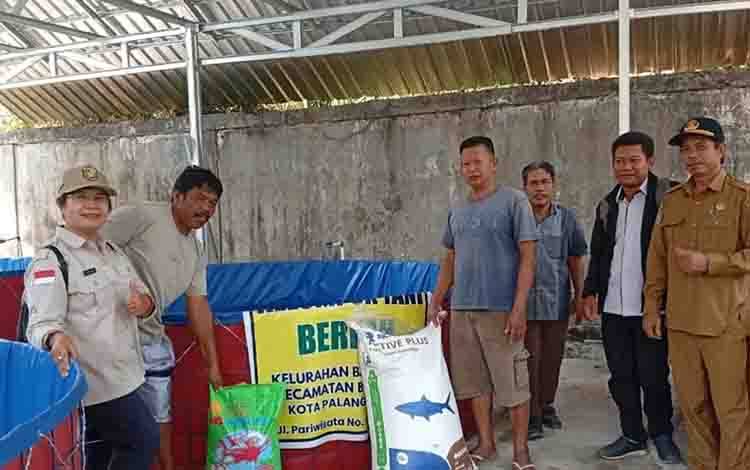 Diskan Palangka Raya Serahkan Benih Lele dan Pakan Ikan ke Pokdakan Berkah