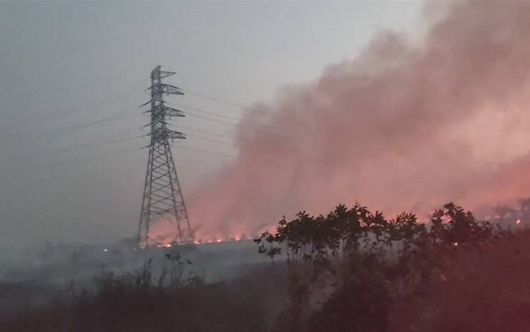 Karhutla Dekati Gardu Induk PLN Kujan dan Permukiman, Ratusan Petugas Dikerahkan