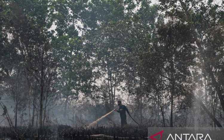 298 Kejadian Karhutla di Palangka Raya Hanguskan 261,41 Hektare Lahan