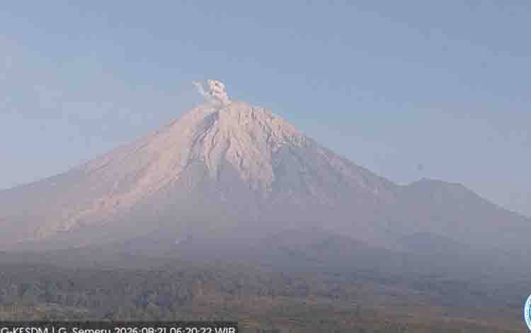 Gunung Semeru Erupsi dengan Tinggi Letusan 800 Meter