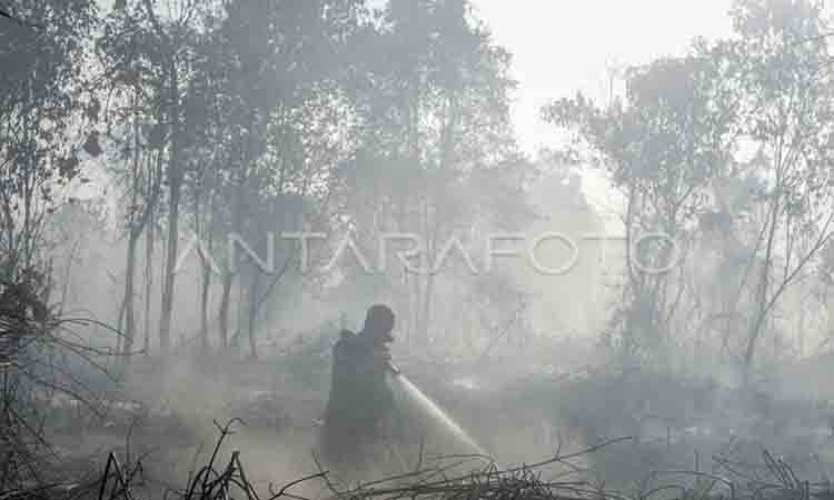 Kemenkes: ISPA 2026 Tembus 400 Ribu per Minggu Dampak Karhutla