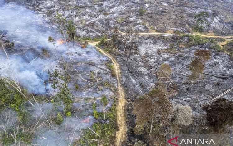 Kapolri Pastikan Pelaku Karhutla Ditangkap, 12 Tersangka Sudah Ditetapkan di Kalteng