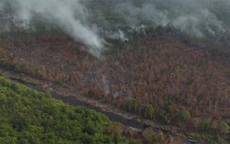 Visual dari udara karhutla di Desa Katunjung, Kecamatan Mantangai, Kabupaten Kapuas, Jumat, 21 Agustus 2026. (FOTO: BPBD Kapuas)