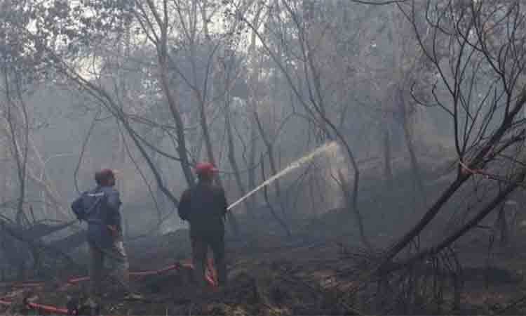 Proses penanganan karhutla di Desa Katunjung, Kecamatan Mantangai, Kabupaten Kapuas di titik lokasi kedua pada koordinat -2,2314428, 114.35173405, Jumat, 21 Agustus 2026. (FOTO: BPBD Kapuas)