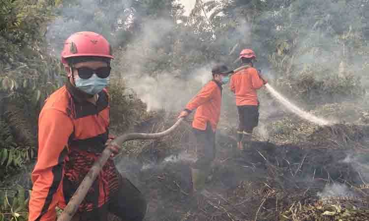 Vegetasi Kering Percepat Karhutla di Murutuwu, Tim Gabungan Berjibaku hingga Tengah Malam