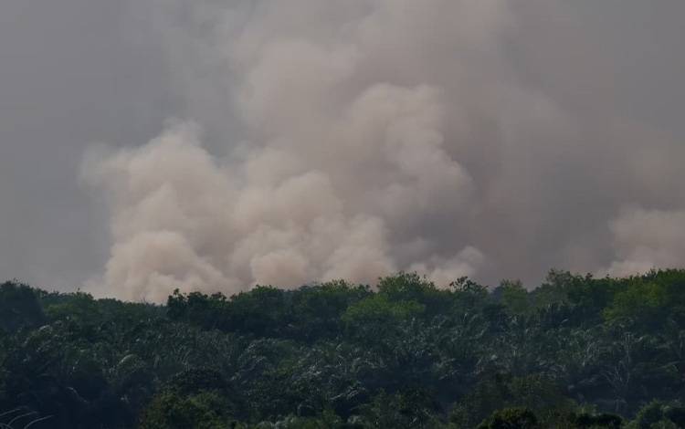 Ini Alasan Super Air Jet Rute Jakarta-Sampit Return To Base Karena Asap Karhutla