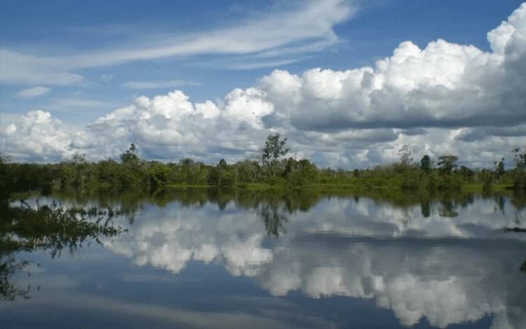 Menelusuri Pesona Danau Tundai, Oase Ekowisata yang Menjaga Keasrian Kalimantan Tengah