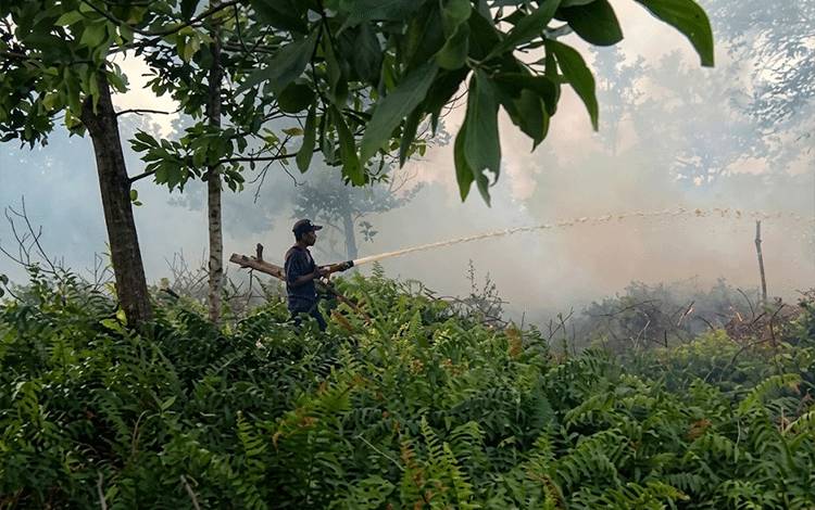 Tim sedang melakukan pemadaman kebakaran di Kalteng. (FOTO:PUSDALOPS KALTENG)