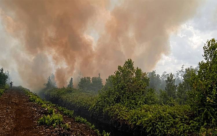Status Karhutla Kalteng Masih Siaga Darurat, Belum Naik ke Tanggap Darurat