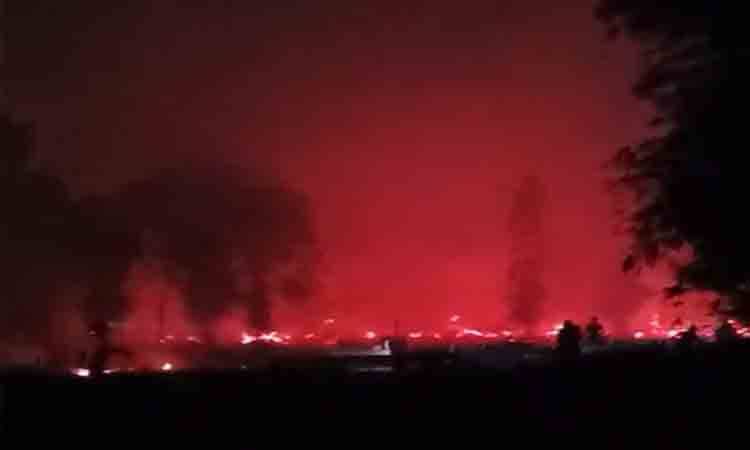 Ketiadaan Air Buat Karhutla di Dadahup Terus Menyala hingga Malam