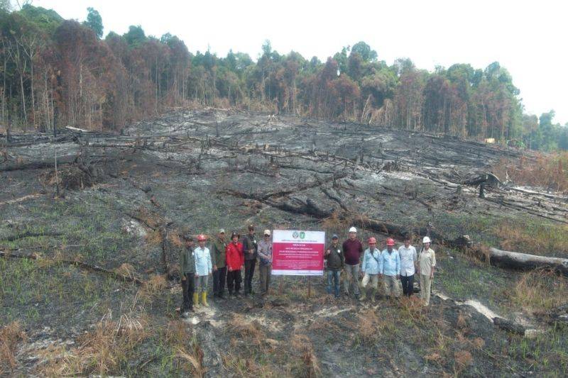 Kemenhut Bekukan Izin PT MPK, Lima Perusahaan Lain di Kalimantan Disanksi terkait Karhutla