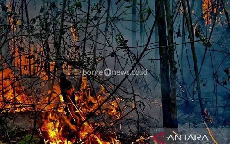 BMKG Deteksi 473 Hotspot di Kalsel, Hampir Seluruh Wilayah Zona Merah Karhutla