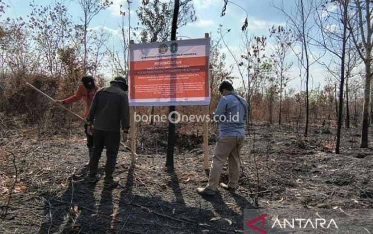 Enam Perusahaan di Kalimantan Disanksi Kemenhut terkait Karhutla 1.511 Hektare