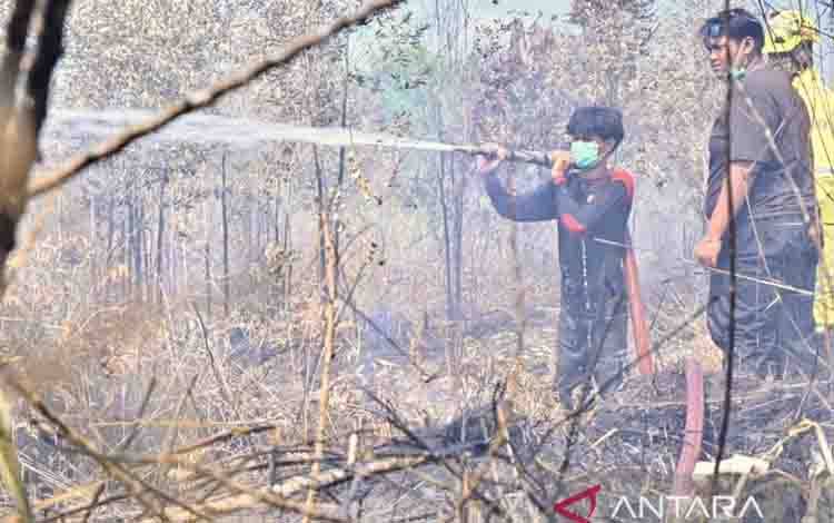Kemenhut: Pemegang PBPH Wajib Lakukan Langkah Ekstra Tangani Karhutla
