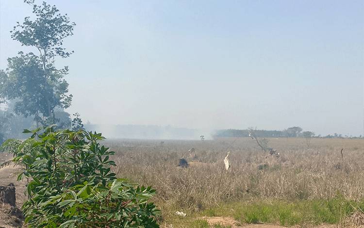 Situasi karhutla di Desa Anjir Serapat Tengah, Kecamatan Kapuas Timur, Kabupaten Kapuas, Kalimantan Tengah, Selasa siang, 25 Agustus 2026. (FOTO: TRC Kapuas)