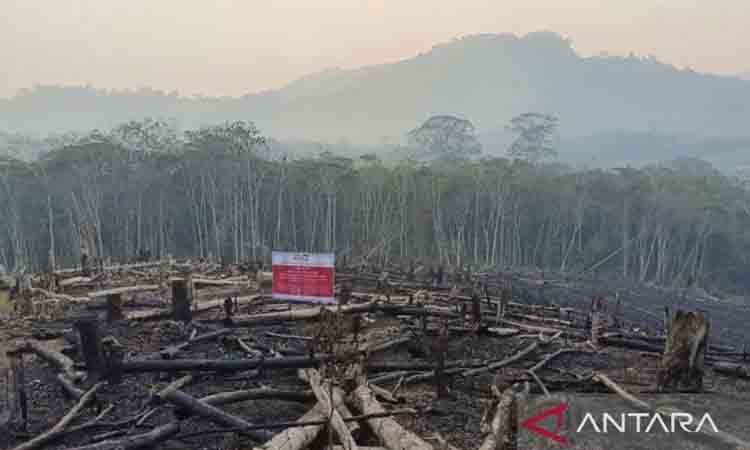 Kemenhut Sanksi 6 Perusahaan di Kalimantan Terkait karhutla