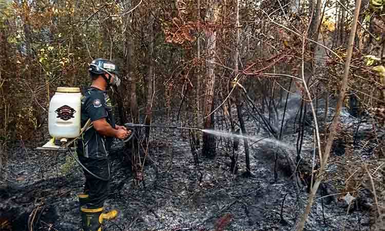 MPA Pengembara memadamkan Karhutla di Kelurahan Ampah Kota Kabupaten Barito Timur, Selasa, 25 Agustus 2026. (FOTO: AGUSTINUS BOLE MALO)