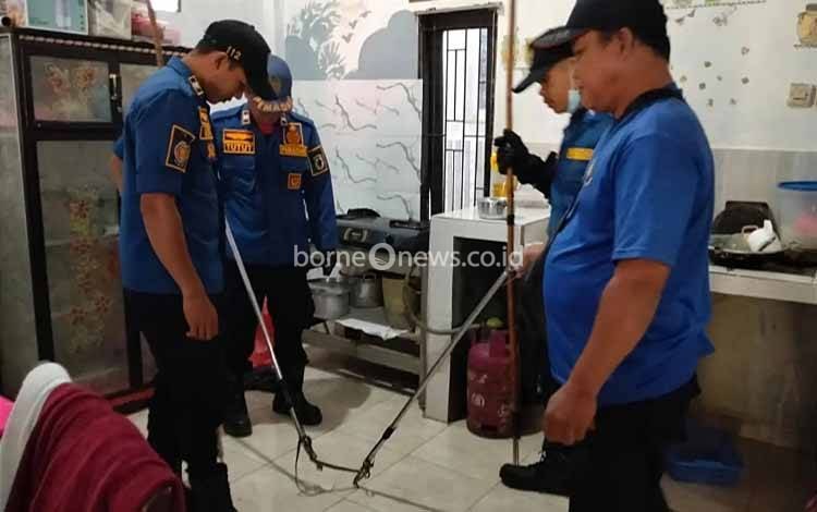 Ular Masuk Dapur Warga, Tim Rescue 112 Palangka Raya Lakukan Evakuasi