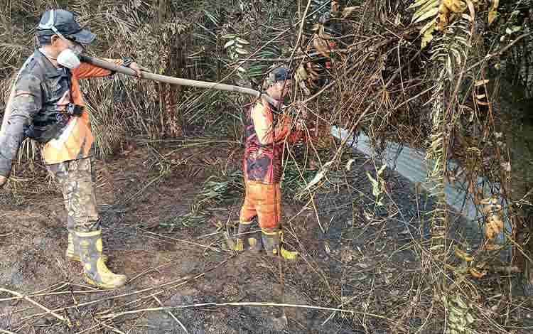 Karhutla 0,5 Hektare di Murutuwu Berhasil Dipadamkan Tim Gabungan