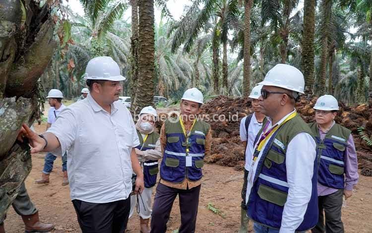 Praktik Lapangan Jadi Bekal Diplomasi Sawit di Forum Internasional