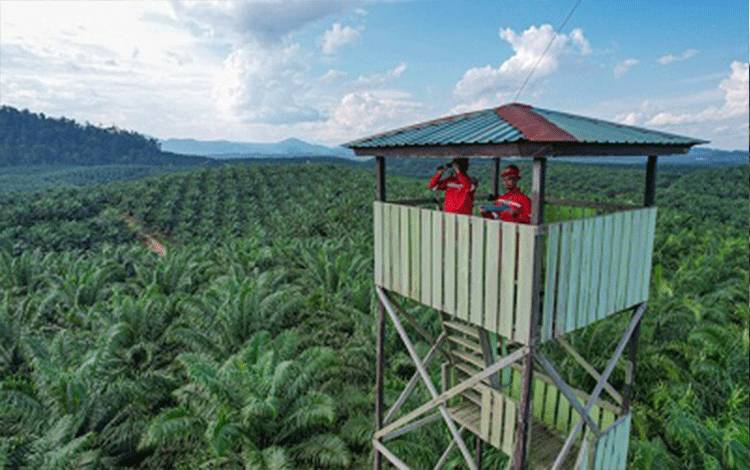 SSMS Perkuat Deteksi Dini Karhutla, Pantau Hotspot Hingga Siagakan Menara Api