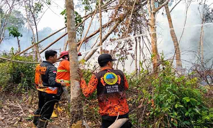 Api Membakar Semak dan Pohon Karet, Tim Gabungan Kendalikan Karhutla di Tamiang Layang