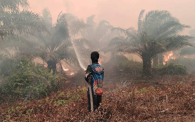 Tim Gabungan Berjibaku Padamkan Kebakaran Lahan Gambut 3,15 Hektare di Katingan Hingga Dini Hari