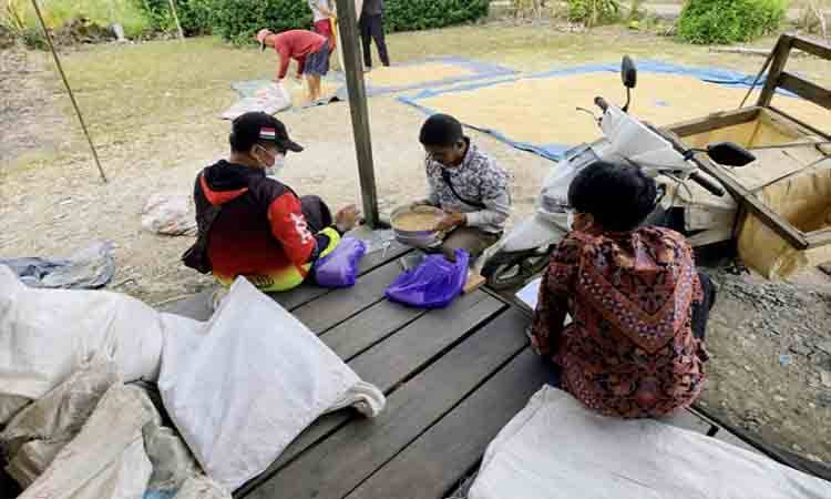 Bulog Kalteng Serap 24.853 Ton Gabah Petani atau 81,18 Persen Target