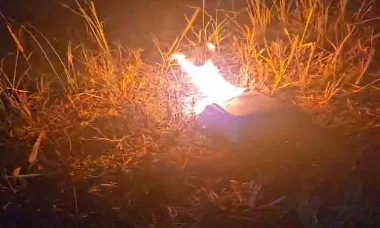 Sengaja Dibakar, Jerigen Berisi Minyak Ditemukan Terbakar di Pulang Pisau