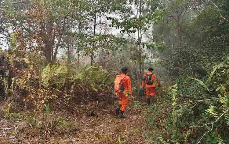 4 Hari Tersesat, 3 Pekerja Jalan di Hutan Timpah Berjalan 28 Km hingga Sungai Barito
